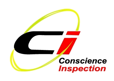 Conscience Inspection